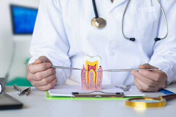 Best Root Canal Emergency Dentist  in Bement, IL
